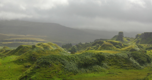 Fairy Glenn, Skye